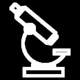 11,500 sqm greenspace